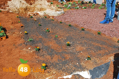 a3malteybeortlud (17).jpg